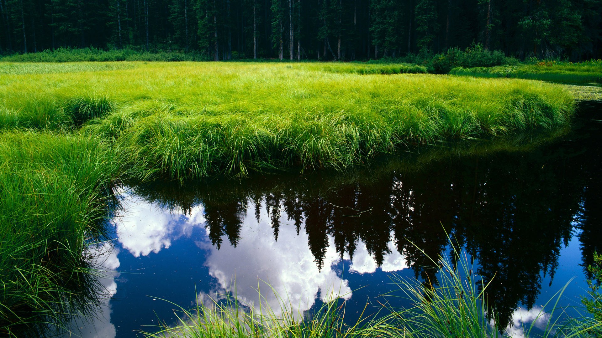 九游jiuyou-NBA历史经典比赛回顾，nba历史球赛